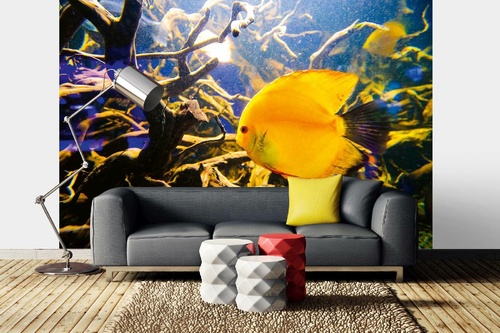 Vlies Fototapete - Wunderschöne Unterwasserwelt 375 x 250 cm